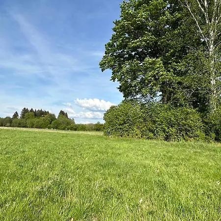 Lesny Park Polanica 아파트 *