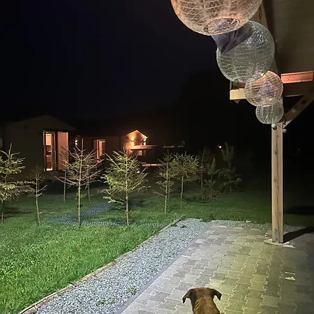 Lesny Park Polanica 아파트