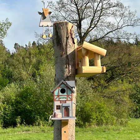 Lesny Park Polanica * 슈차이트나