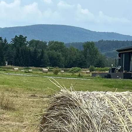 Lesny Park Polanica 아파트 슈차이트나