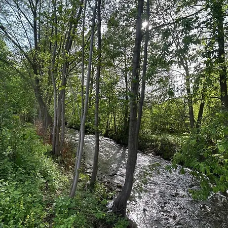 아파트 Lesny Park Polanica