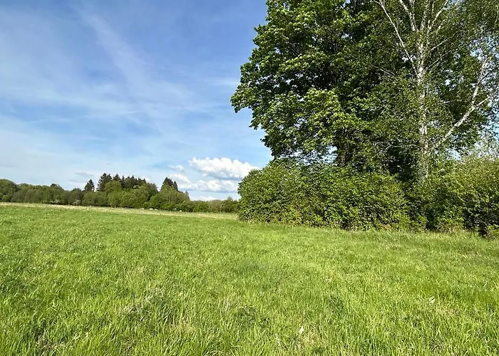 Lesny Park Polanica Appartamento *