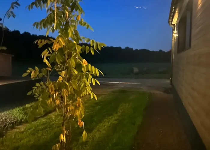 Lesny Park Polanica Szczytna