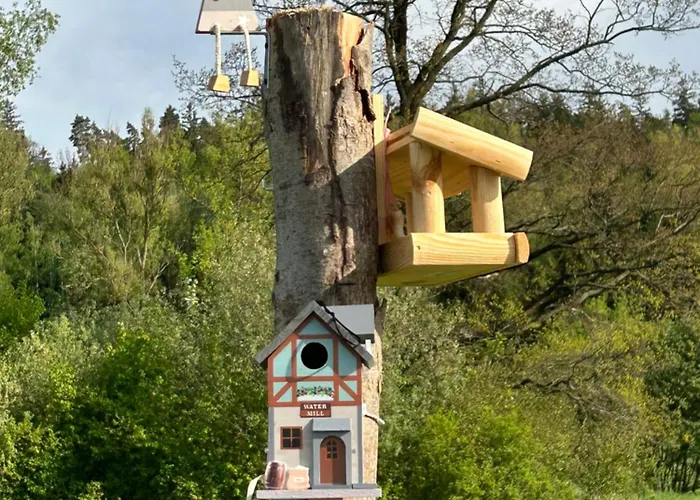 Lesny Park Polanica * Szczytna